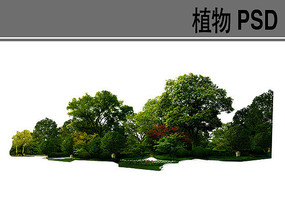 植物组团ps素材