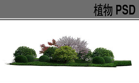 中式公园植物组团设计