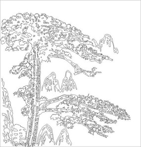 松树矢量图