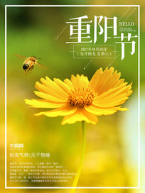 简约唯美菊花重阳节节日海报