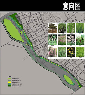 植物种类分析图