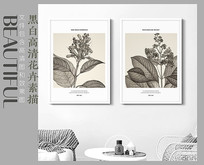 北欧风黑白花卉素描装饰画