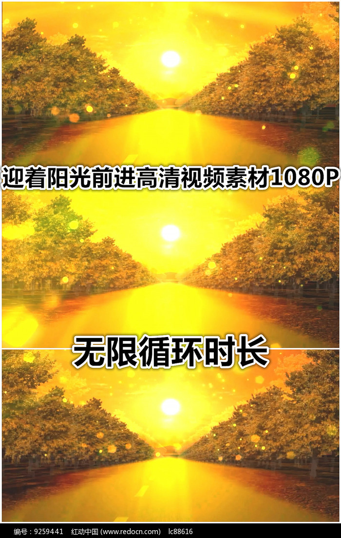 迎着夕阳前进阳光照耀大地视频