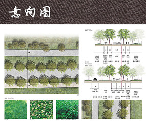 道路景观植物分析图