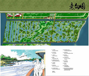 生态湿地公园线性景观意向jpg素材下载(编号8695815)_红动网