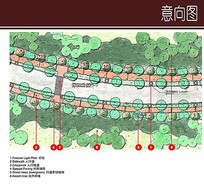 标准道路绿化平面设计