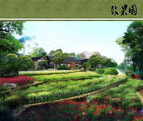 沱江公园花卉效果图
