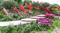 花卉植物公园景观