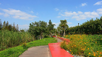 花卉公园游步道景观