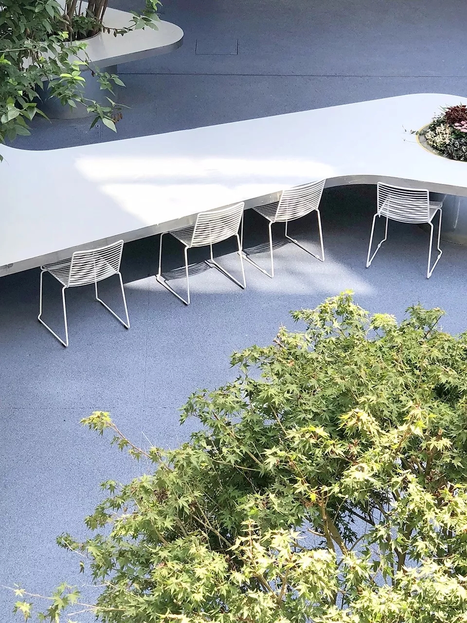 2019庭院设计新名词--树桌花园