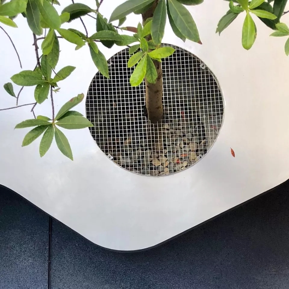 2019庭院设计新名词--树桌花园