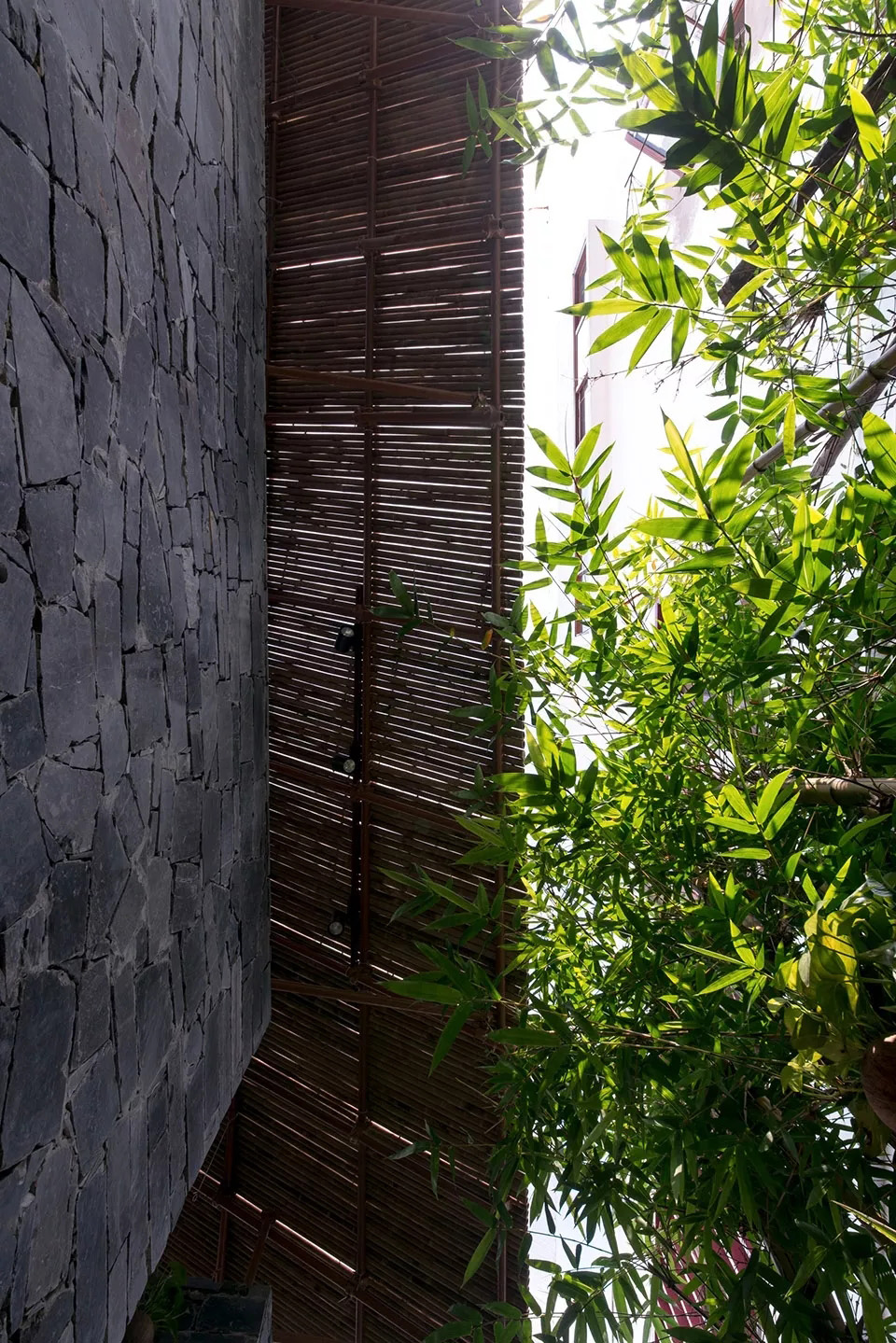 2019庭院设计新名词--树桌花园