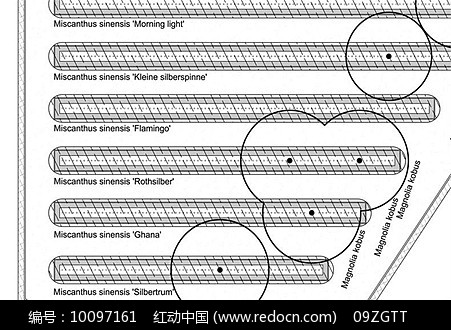 停车场停车位划分平面图