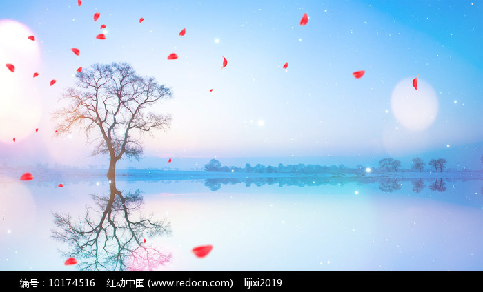 醉仙美背景视频素材