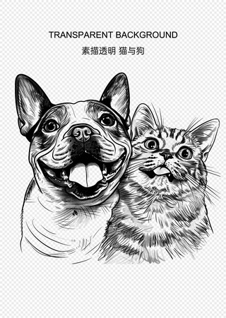 猫狗素描 透明背景 PSD