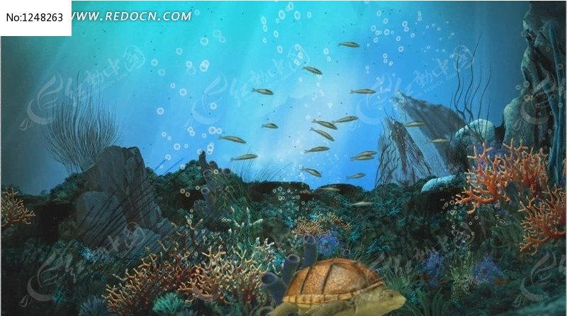 高清海底世界视频素材设计模板下载(编号:1248263)