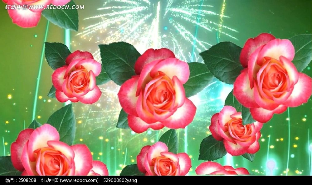 标签:玫瑰花素材 红色玫瑰花视频下载 红玫瑰视频素材下载 梦幻玫瑰花视频 婚庆玫瑰视频 粉红色玫瑰花视频下载 婚庆片头 婚庆片尾 婚礼片头 婚礼片尾 浪漫视频 LED高清花视频 舞台视频背景下载 电视背景 星星视频 爱情视频 梦境 结婚庆典 新婚礼仪 情人节 花视频素材 花动态视频 花朵 闪烁 星光点点 月季花视频 月季花动态素材 月季花开 月季花相框 月季相册 月季花边框 花海视频 树叶 落叶 白云