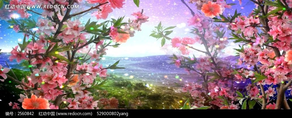 诗情画意桃花醉人led视频背景