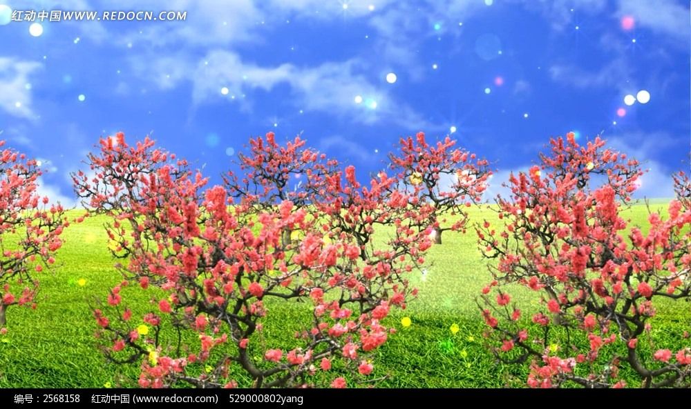 梅花岭风景视频素材设计模板下载(编号:25681