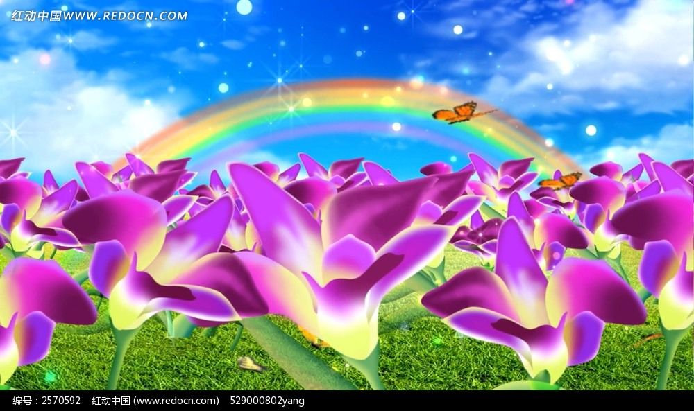 手绘花朵 美丽花丛视频素材