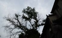 剪影图片_城 剪影设计素材图片