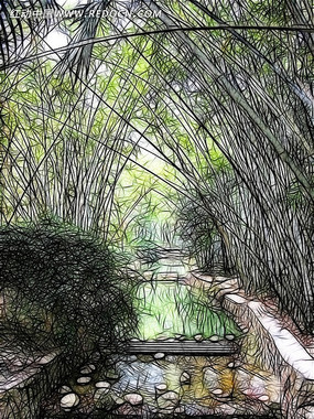 竹林风景