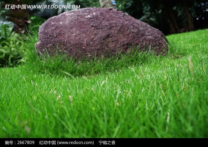 绿油油草地上的石头