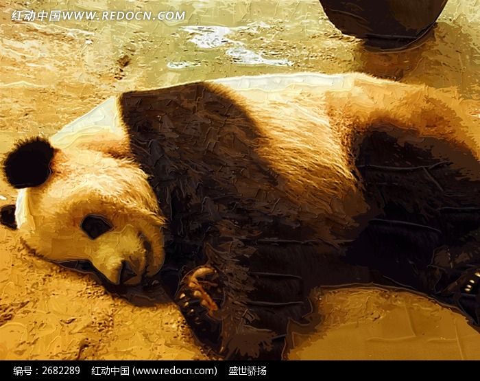 睡觉的熊猫