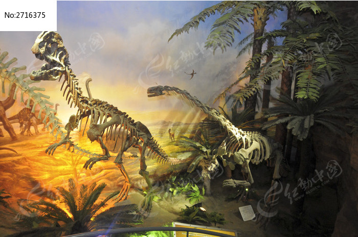 侏罗纪恐龙化石