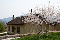 中国风格的乡村小屋
