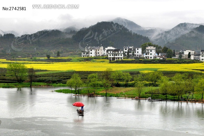 江西婺源雨季油菜花图片