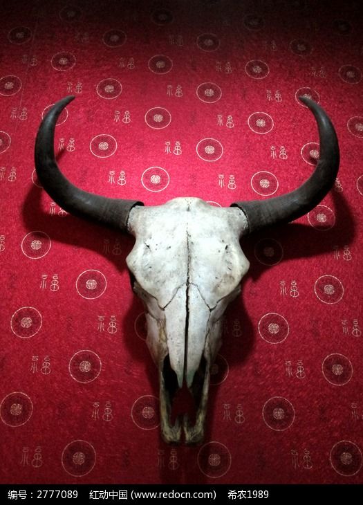 羊头骨图片_艺术文化图片