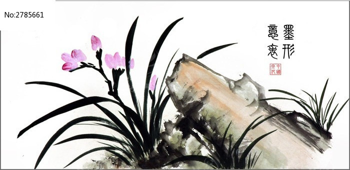 兰花素描图片大全大图 铅笔画展示