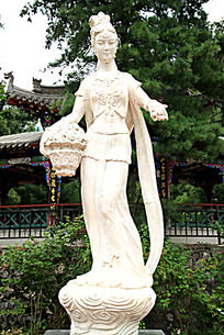 美丽的小桃花