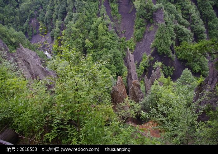 长白山地下森林