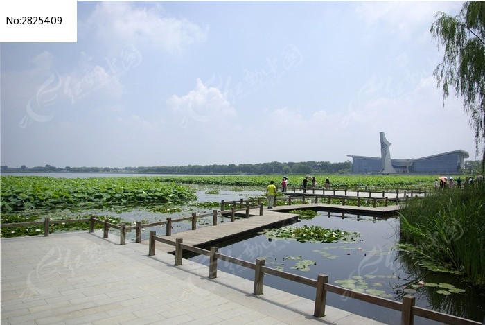 原创摄影图 自然风景 江河湖泊 铁岭莲花湖美景