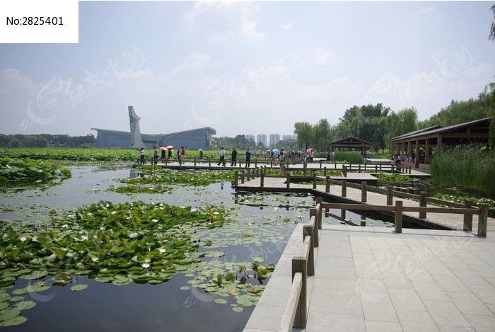 原创摄影图 自然风景 江河湖泊 铁岭莲花湖自然风光