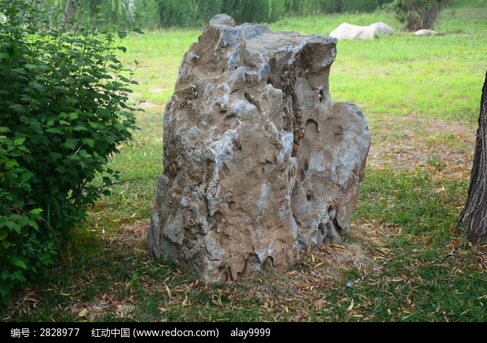 园林中的一块大石头