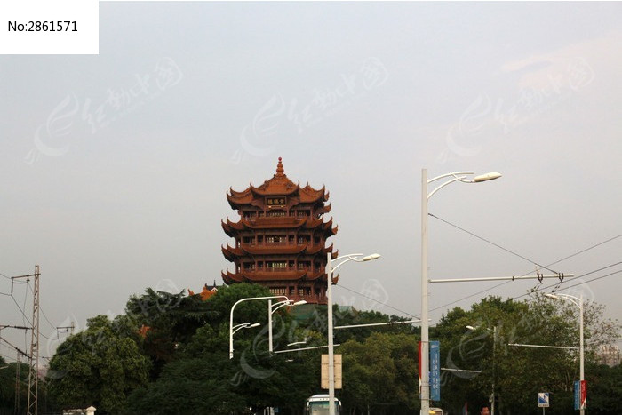 树木远景手绘