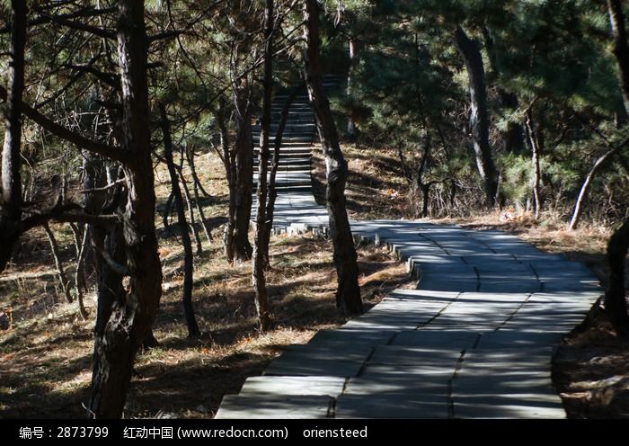 蜿蜒曲折的山路