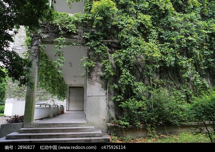 桂林电子科技大学研究生院走廊与爬山虎图片