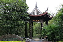 桂林园林植物园石板步道