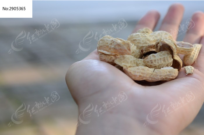 花生壳图片_餐饮美食图片