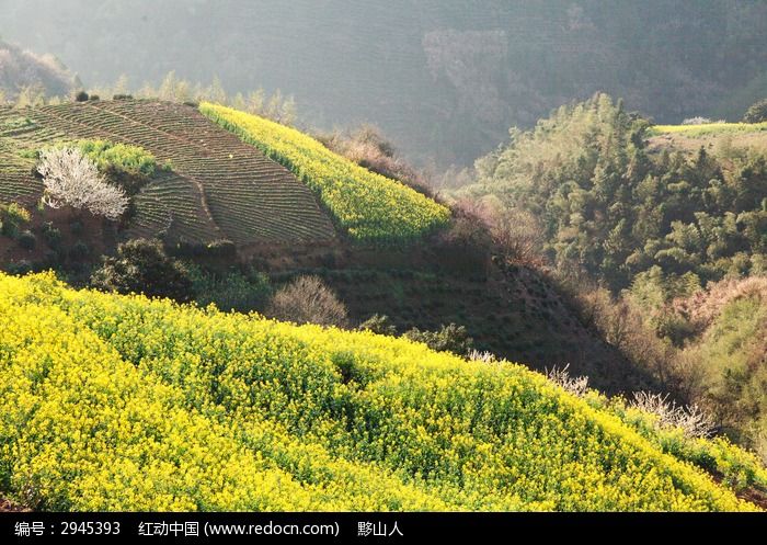 清明节愚人节疫情画册踏青国潮ppt展板文化墙背景我要找人设计或