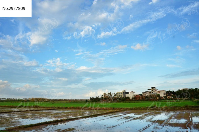 乡村田野