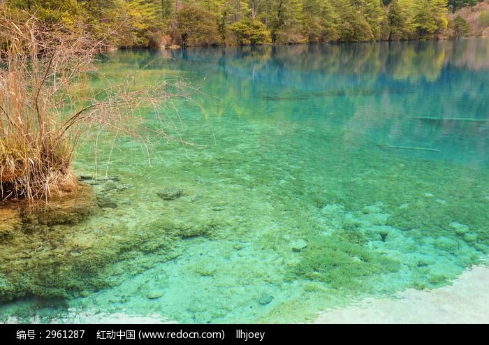 五花海清澈的水高清图片下载_红动中国