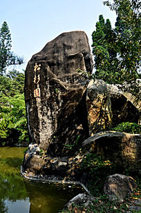 万石植物园松杉园