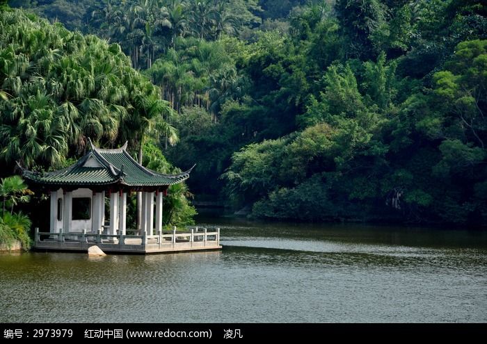 万石植物园亭子边的湖泊