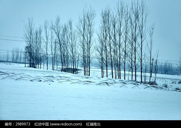 北方农村的下雪天