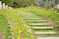 花路